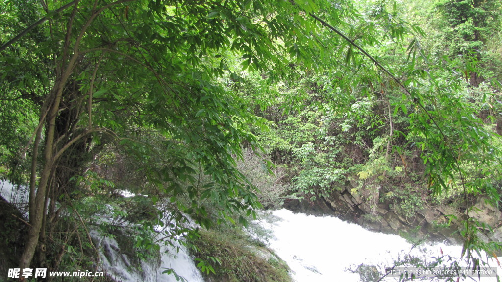 甲茶风景