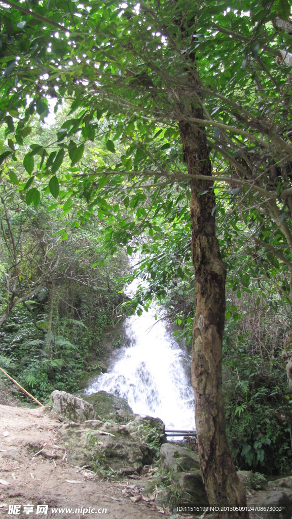 甲茶风景