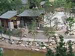 五凤