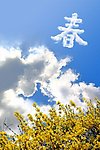 春 花