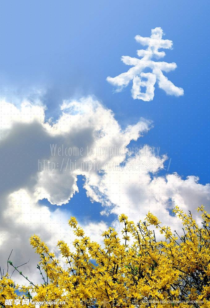 春 花