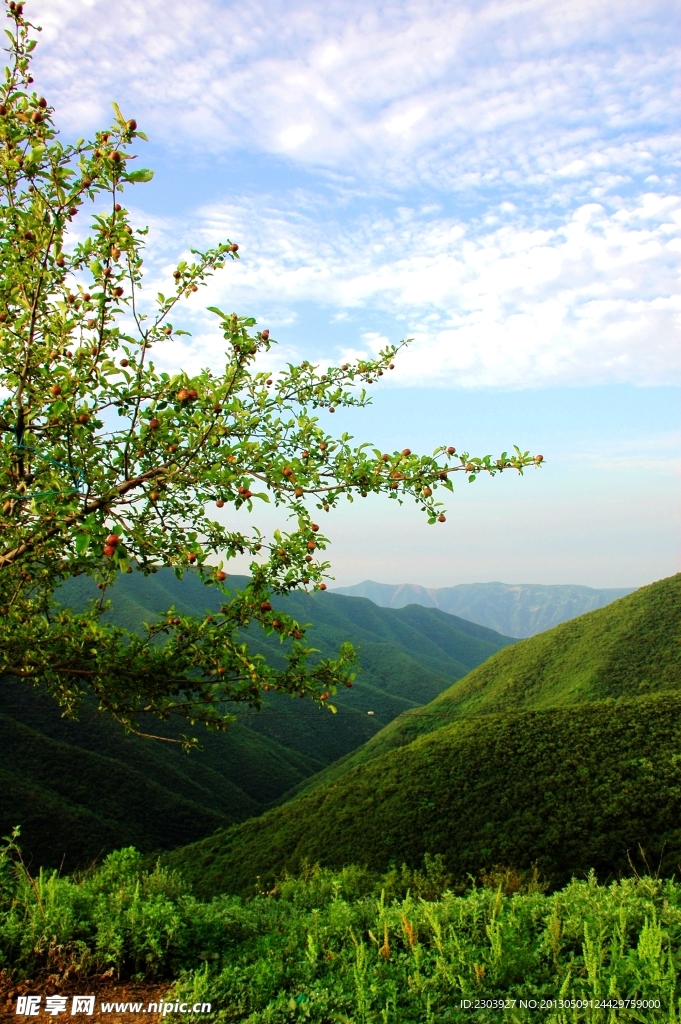 大山深处好风光