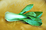 小油菜