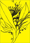 线描美女 花卉