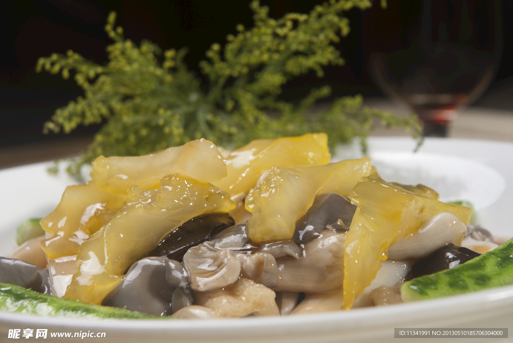 美食 花胶