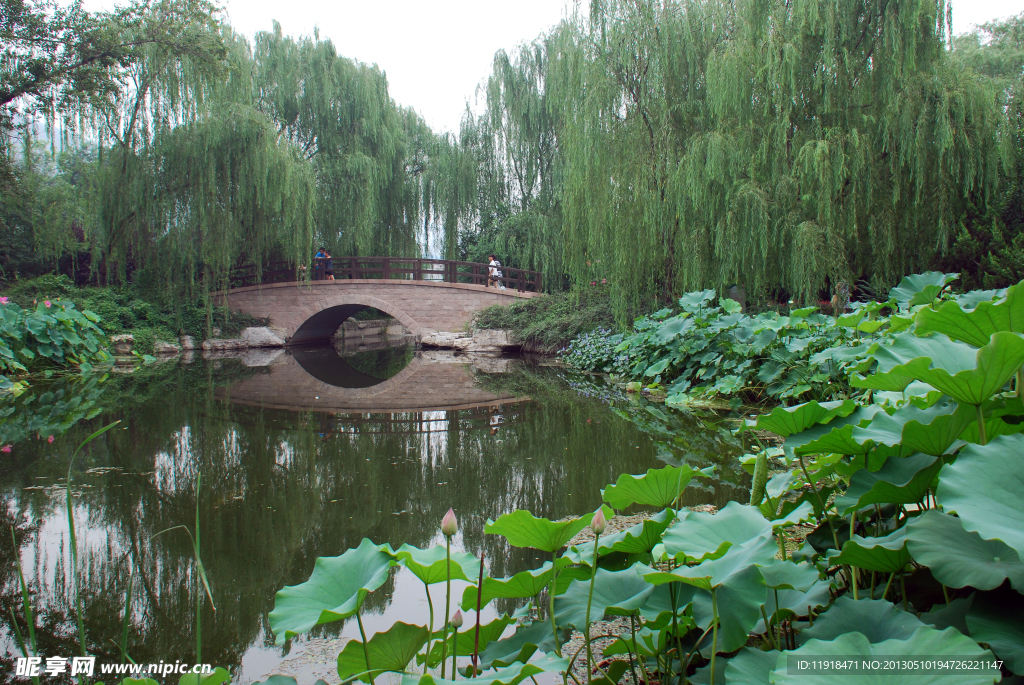 北京植物园风景