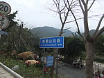 深圳 梧桐山风景