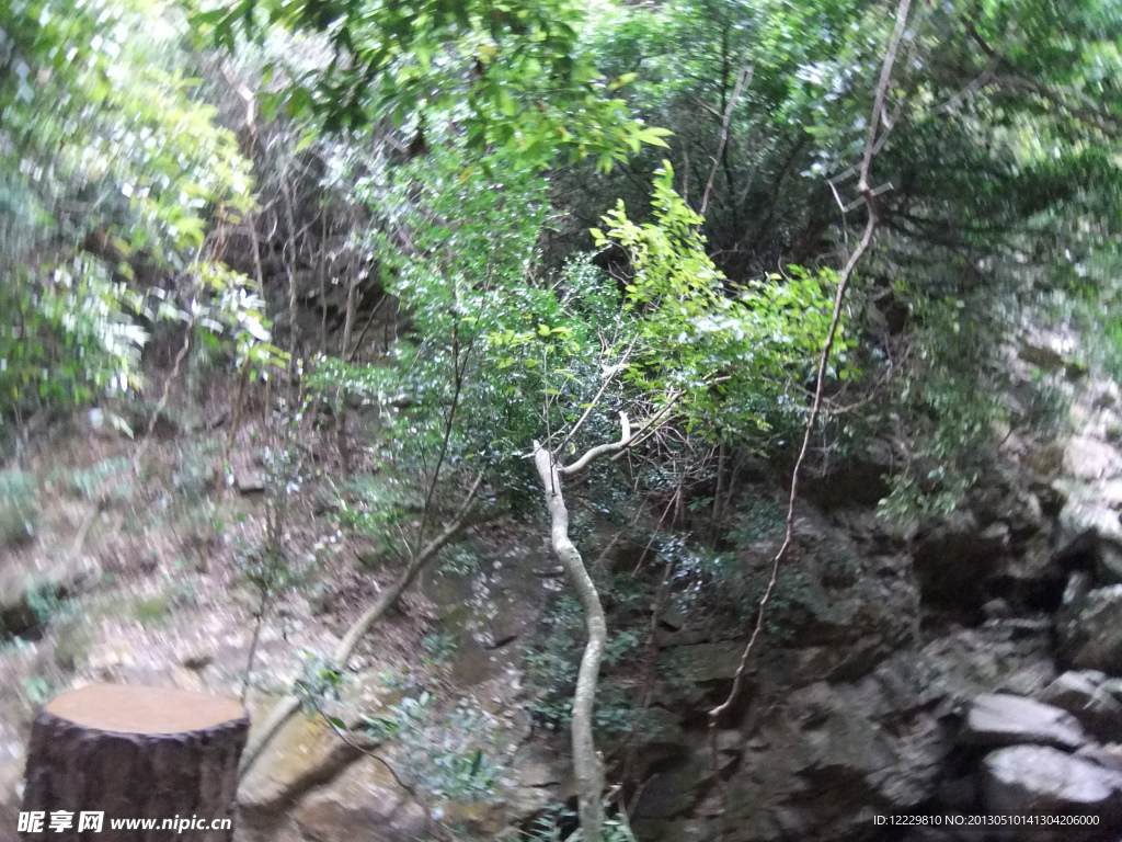 深圳 梧桐山风景