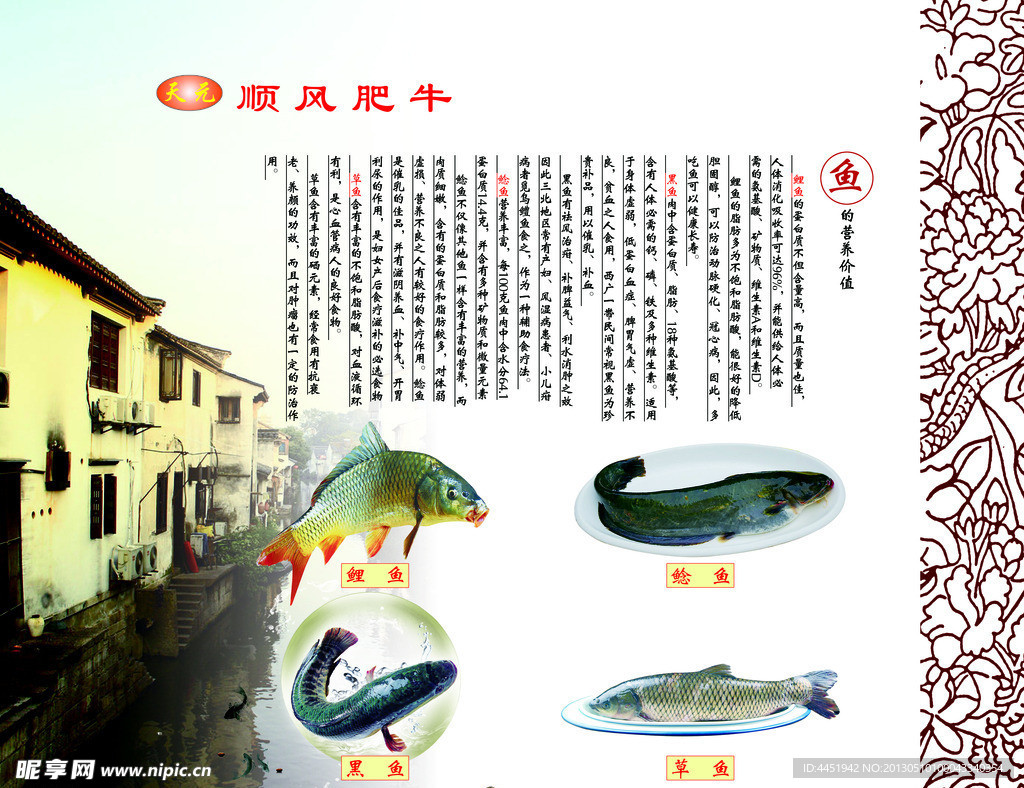 四种鱼