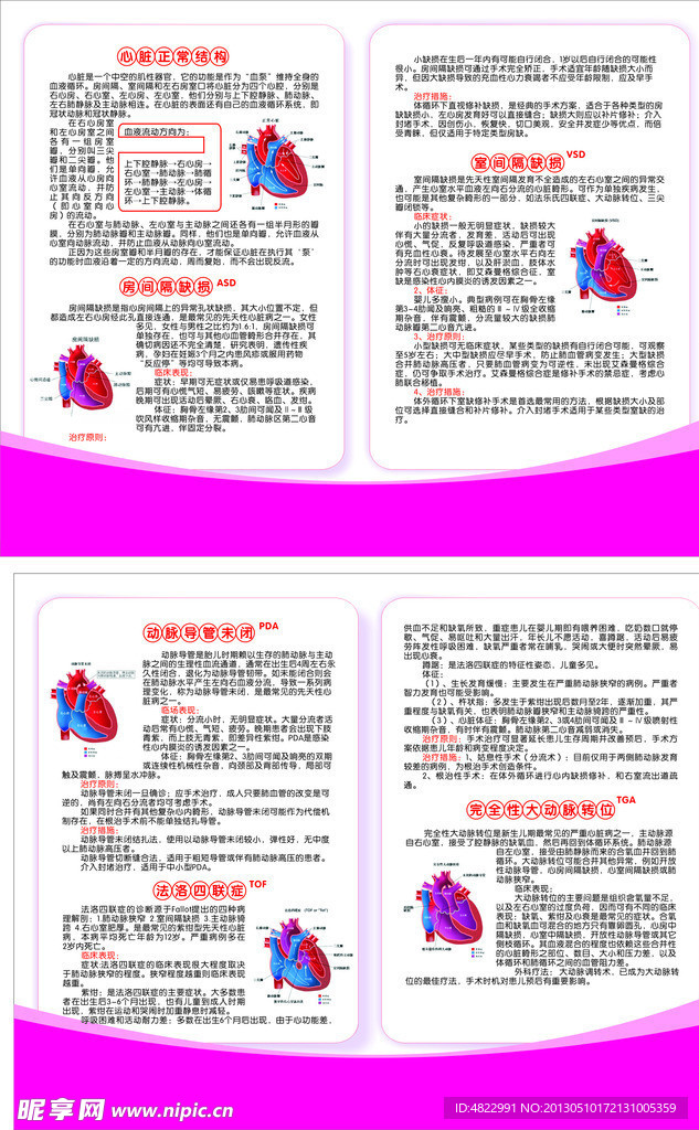 关心健康 心脏结构