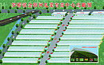 日光能蔬菜大棚