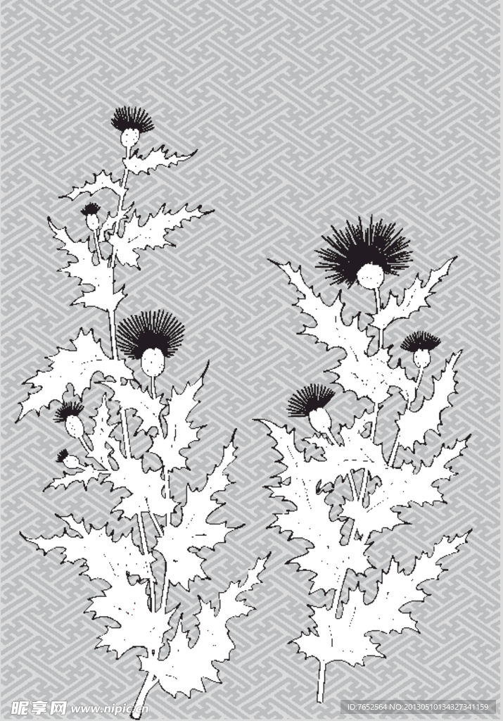 花纹