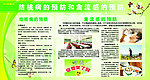 禽流感知识