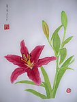 百合花水粉画