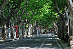 上海思南路