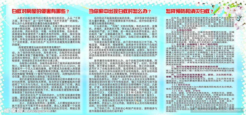 白蚁展板