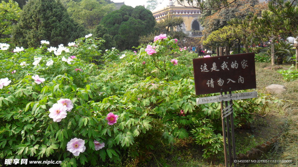 风景区