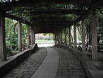 阴凉走道