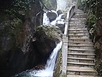 南岭国家森林公园楼梯