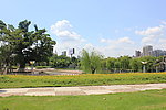 家乡风景
