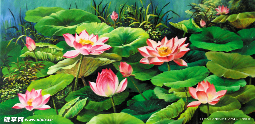 夏时清荷