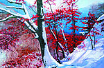 雪地红霞 油画