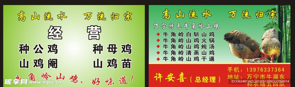 山鸡名片