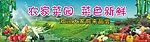 水云居农家菜园