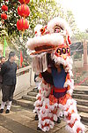 醒狮 茶游会 白色醒