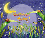 盛夏夜晚