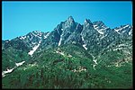 青山绿树