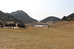 高山草甸