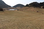 高山草甸