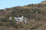 高山草甸