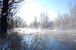 不冻河雪景