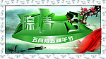 粽情一生