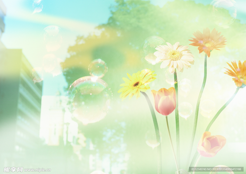 花朵背景图