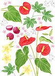 火鹤鲜花
