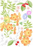 鲜花