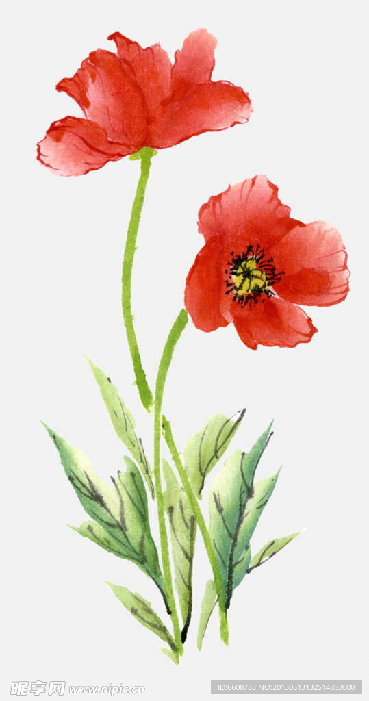 鲜花绿叶
