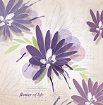 丁香花