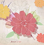 花朵花瓣