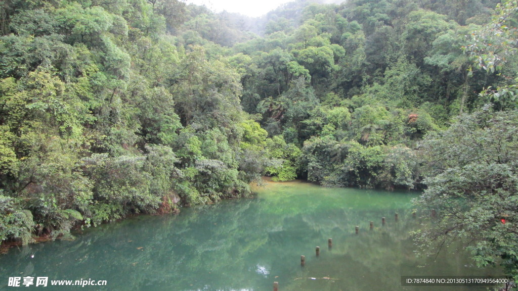 肇庆鼎湖山