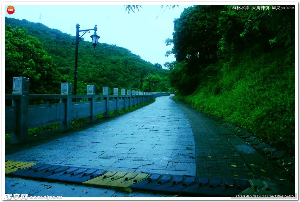 水库旅游 旅游道路