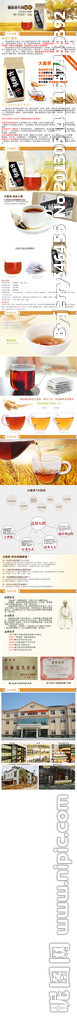 大麦茶袋泡茶宝贝描述