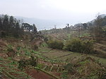 乡村