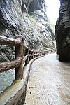 官鹅沟美景