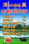兰州凉面