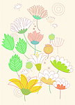 鲜艳鲜花
