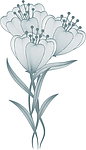 花朵图案